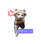 こてつとこたろう（個別スタンプ：7）