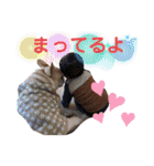 チビゆきスタンプ（個別スタンプ：1）