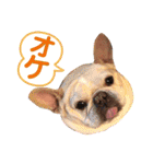 チビゆきスタンプ（個別スタンプ：2）