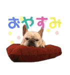 チビゆきスタンプ（個別スタンプ：17）
