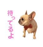 チビゆきスタンプ（個別スタンプ：20）