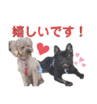 フレブル くろすけとトイプーぷーすけ（個別スタンプ：3）