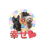 フレブル くろすけとトイプーぷーすけ（個別スタンプ：17）