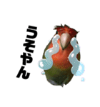 インコのセセリ♂10（個別スタンプ：10）