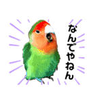 インコのセセリ♂10（個別スタンプ：22）