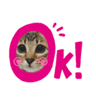 今日のこむぎたん2（個別スタンプ：34）