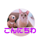 レオたんスタンプ0221（個別スタンプ：2）