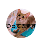レオたんスタンプ0221（個別スタンプ：5）