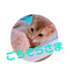 レオたんスタンプ0221（個別スタンプ：10）