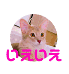レオたんスタンプ0221（個別スタンプ：12）