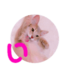 れおちゃん・ゆめちゃん（個別スタンプ：2）