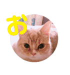 れおちゃん・ゆめちゃん（個別スタンプ：5）