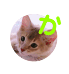 れおちゃん・ゆめちゃん（個別スタンプ：6）