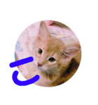 れおちゃん・ゆめちゃん（個別スタンプ：10）