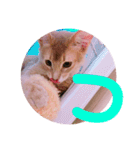 れおちゃん・ゆめちゃん（個別スタンプ：18）