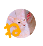 れおちゃん・ゆめちゃん（個別スタンプ：24）