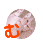 れおちゃん・ゆめちゃん（個別スタンプ：33）