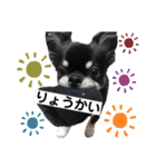 黒蜜すたんぷ（個別スタンプ：3）