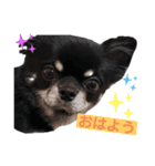 黒蜜すたんぷ（個別スタンプ：4）