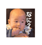 あおいクン（個別スタンプ：11）