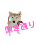ママがごめんなさい2（個別スタンプ：3）