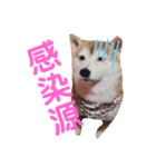 ママがごめんなさい2（個別スタンプ：4）