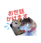 ママがごめんなさい2（個別スタンプ：6）