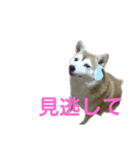 ママがごめんなさい2（個別スタンプ：7）