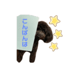 ありるどのスタンプ①（個別スタンプ：3）