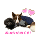 ありるどのスタンプ①（個別スタンプ：6）