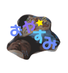 a o i ♡（個別スタンプ：10）