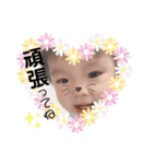 a o i ♡（個別スタンプ：13）