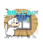 冬に使いやすい 白い犬のスタンプ（個別スタンプ：16）