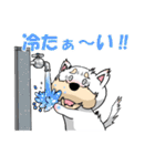 冬に使いやすい 白い犬のスタンプ（個別スタンプ：22）