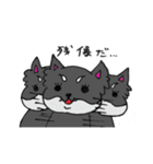 ちわずの日常（個別スタンプ：12）