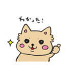 ちわずの日常（個別スタンプ：23）