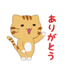 とらねこカフェ（個別スタンプ：2）