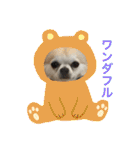 お散歩ミニーちゃん（個別スタンプ：7）