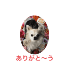 お散歩ミニーちゃん（個別スタンプ：8）