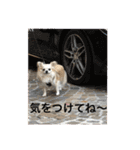 お散歩ミニーちゃん（個別スタンプ：10）