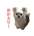 お散歩ミニーちゃん（個別スタンプ：13）