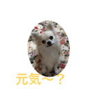 お散歩ミニーちゃん（個別スタンプ：17）