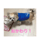 お散歩ミニーちゃん（個別スタンプ：19）
