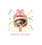 お散歩ミニーちゃん（個別スタンプ：29）