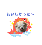 お散歩ミニーちゃん（個別スタンプ：36）
