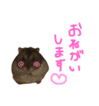 おはぎちゃん♀2（個別スタンプ：6）