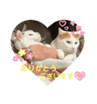 そらとおっぽのかわいいスタンプ（個別スタンプ：14）