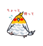 おにぎりインコ達（個別スタンプ：3）