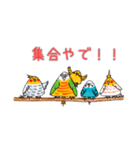 おにぎりインコ達（個別スタンプ：4）