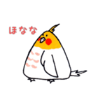 おにぎりインコ達（個別スタンプ：13）